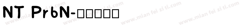 NT Pr6N字体转换